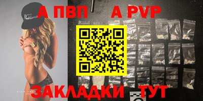 шишки Новодвинск