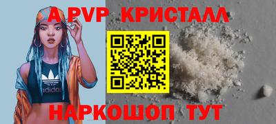шишки Новодвинск