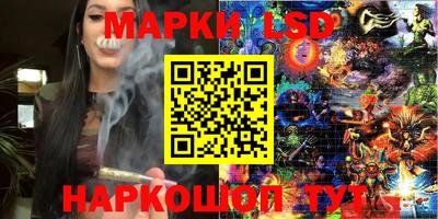 шишки Новодвинск