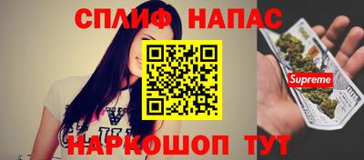 шишки Новодвинск