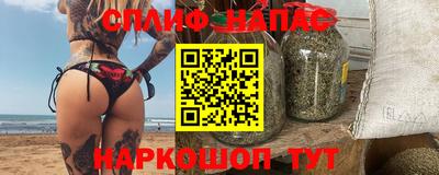 шишки Новодвинск