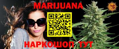шишки Новодвинск