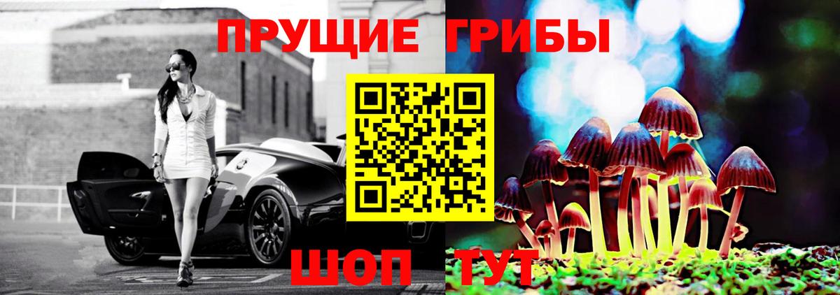 Галлюциногенные грибы MAGIC MUSHROOMS  Вход с VPN  Серпухов  Галлюциногенные грибы GOLDEN TEACHER 